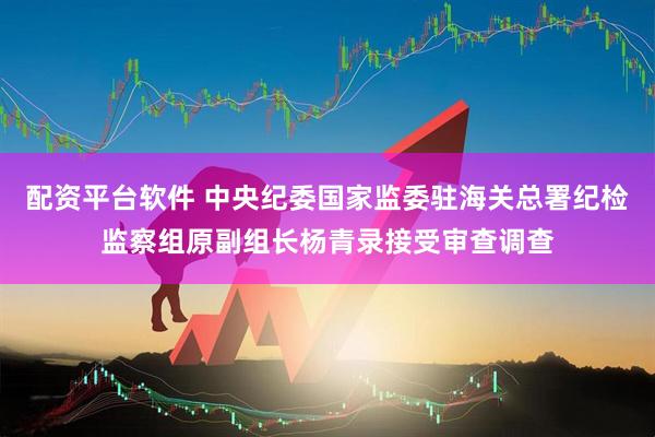 配资平台软件 中央纪委国家监委驻海关总署纪检监察组原副组长杨青录接受审查调查